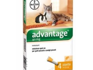 bayer-advantage-spot-on-antiparassitario-per-gatti-e-conigli